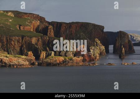 Neap Cliffs, penisola di Eshaness, Shetland, Scozia, Regno Unito, Europa Foto Stock