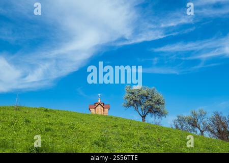 Piccola vecchia cappella in legno sulla cima verde estate erbosa collina, solitario salice albero e cielo blu con nuvola. Foto Stock