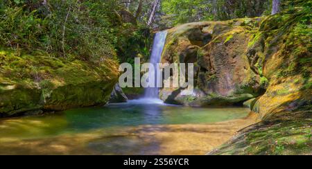 Le cascate di Skull Rock Falls cascata con acque cristalline del fiume nella foresta pluviale lungo il fiume Liffey, Liffey Forest Reserve, Tasmania, Australia Foto Stock
