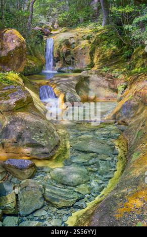 Le cascate di Skull Rock Falls cascata con acque cristalline del fiume nella foresta pluviale lungo il fiume Liffey, Liffey Forest Reserve, Tasmania, Australia Foto Stock
