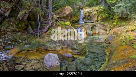 Le cascate di Skull Rock Falls cascata con acque cristalline del fiume nella foresta pluviale lungo il fiume Liffey, Liffey Forest Reserve, Tasmania, Australia Foto Stock