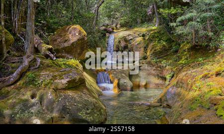 Le cascate di Skull Rock Falls cascata con acque cristalline del fiume nella foresta pluviale lungo il fiume Liffey, Liffey Forest Reserve, Tasmania, Australia Foto Stock