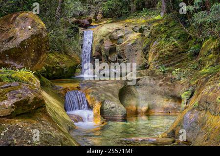 Le cascate di Skull Rock Falls cascata con acque cristalline del fiume nella foresta pluviale lungo il fiume Liffey, Liffey Forest Reserve, Tasmania, Australia Foto Stock