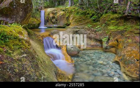 Le cascate di Skull Rock Falls cascata con acque cristalline del fiume nella foresta pluviale lungo il fiume Liffey, Liffey Forest Reserve, Tasmania, Australia Foto Stock