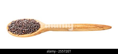 cucchiaio di legno con semi di senape neri isolati su sfondo bianco Foto Stock