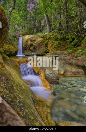 Le cascate di Skull Rock Falls cascata con acque cristalline del fiume nella foresta pluviale lungo il fiume Liffey, Liffey Forest Reserve, Tasmania, Australia Foto Stock