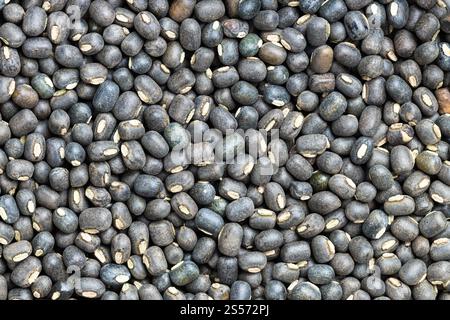 cibo di fondo - molti grezzi interi fagioli di urad neri vicino su Foto Stock