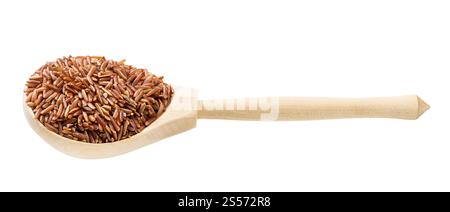 riso rosso crudo in cucchiaio di legno isolato su fondo bianco Foto Stock