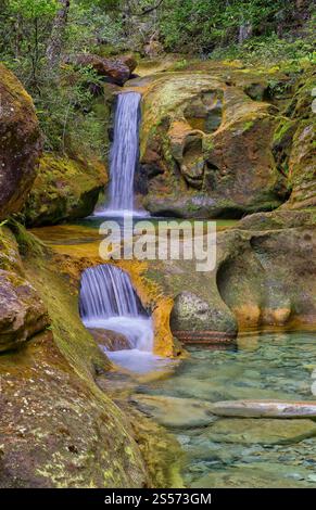 Le cascate di Skull Rock Falls cascata con acque cristalline del fiume nella foresta pluviale lungo il fiume Liffey, Liffey Forest Reserve, Tasmania, Australia Foto Stock