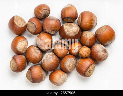 vista dall'alto di un mucchio di nocciole sgusciate e di nocciole intere su una piastra in ceramica grigia Foto Stock