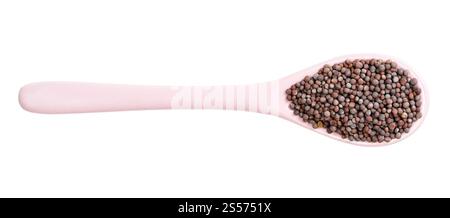 vista dall'alto del cucchiaio in ceramica con semi di senape neri isolati su sfondo bianco Foto Stock