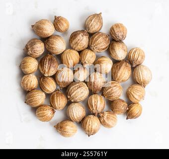 diversi semi di coriandolo essiccato si chiudono su una piastra di ceramica grigia Foto Stock