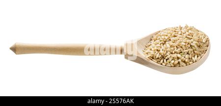 cucchiaio di legno con grani di riso marrone non lucidato isolato su bianco sfondo Foto Stock