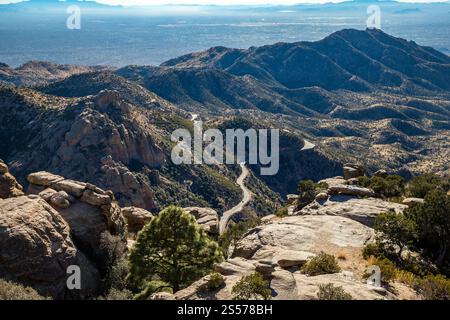 Montagne maestose e strade tortuose creano un paesaggio mozzafiato nella foresta nazionale di Coronado, perfetto per gli escursionisti avventurosi. Foto Stock