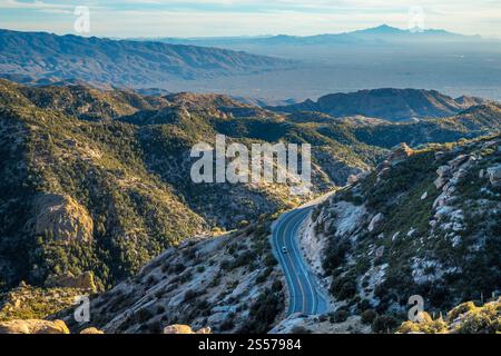 Goditi le viste mozzafiato lungo la Mount Lemmon Highway, che mostra i maestosi paesaggi dell'Arizona e la natura selvaggia variegata. Foto Stock