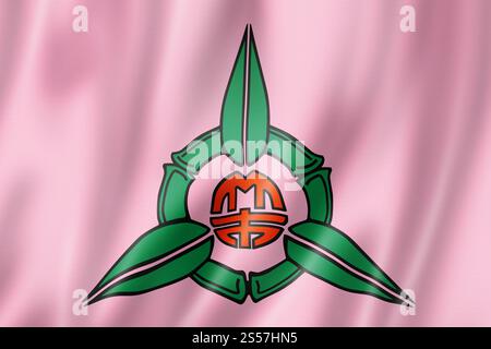 Bandiera della città di Hsinchu, collezione di striscioni cinesi. Illustrazione 3D. Bandiera della città di Hsinchu, Cina Foto Stock