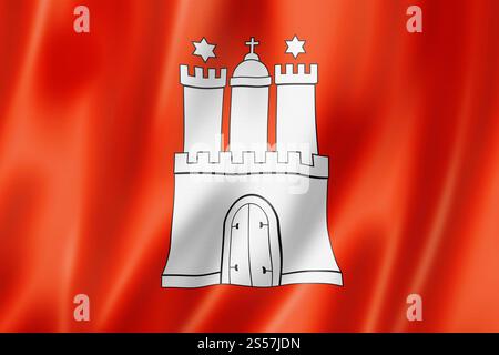 Stemma Della Germania Di Amburgo Sulla Cartina Vettoriale Di Amburgo Sulla Cartina Vettoriale Silhouette Sopra La Mappa Illustrazione Isolata Su Fondo Bianco 212699175 - Foto 4