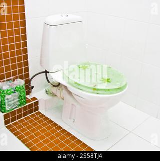 il bagno era bello e moderno. bagno moderno con wc Foto Stock