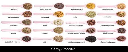 set di cucchiai di ceramica con vari semi piccanti con nomi isolati su backgrouns bianchi Foto Stock