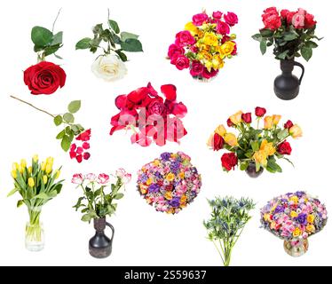 set di varie rose e fiori in vasi isolati su sfondo bianco. pile di petali appassiti e fiori di rosa rossa Foto Stock