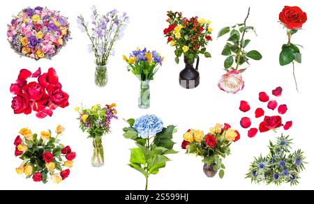 set di fiori vari in vasi e singoli isolati su sfondo bianco. pile di petali caduti e fiori di rosa rossa Foto Stock