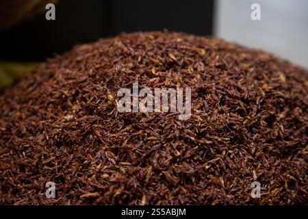 Le cavallette sono insetti commestibili utilizzati nella cucina messicana nella regione di Oaxaca. Foto Stock