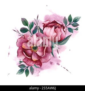 Composizione floreale ad acquerello con peonie rosa in una macchia ad acquerello. Illustrazione disegnata a mano su sfondo isolato. Composizione primaverile per saluto ca Foto Stock
