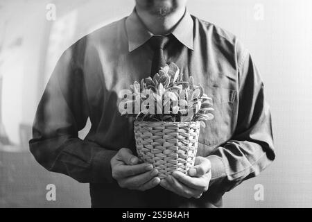Imprenditore di successo vaso di contenimento impianto,tree,vista frontale,l'effetto filtro,bianco nero Foto Stock