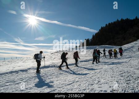 Escursionisti al passo Aspin (Pirenei superiori, Francia sud-occidentale) in inverno Foto Stock
