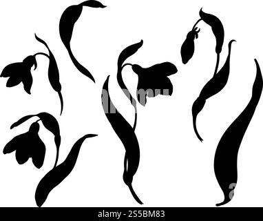 Illustrazione del vettore Snowdrop. Fiori primaverili in fiore. Design lineare disegnato a mano con inchiostro nero di delicati fiori bianchi con foglie. Set botanico Illustrazione Vettoriale