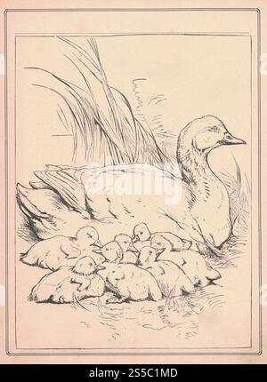L'antica illustrazione in bianco e nero mostra la famiglia di un'anatra carina. Il disegno vintage mostra un'anatra e le sue anatre. Vecchia foto dal libro delle fiabe Foto Stock