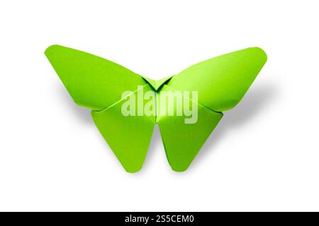 Origami a farfalla di carta verde isolato su uno sfondo bianco vuoto. Origami a farfalla di carta verde isolato su sfondo bianco Foto Stock