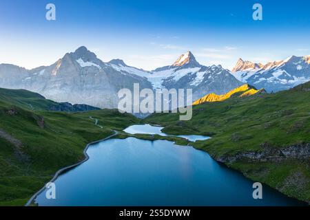 Vista aerea del lago Bachalpsee durante l'alba estiva. Grindelwald, Cantone di Berna, Svizzera, Europa. Foto Stock