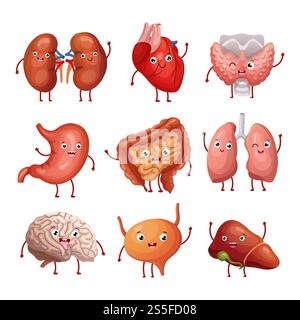 Carino cartone animato organi umani. Stomaco, polmoni e reni, cervello e cuore, fegato. Divertenti figure anatomiche vettoriali degli organi interni cervello e cuore, fegato e organi interni. Carino cartone animato organi umani. Stomaco, polmoni e reni, cervello e cuore, fegato. Divertenti personaggi anatomici vettoriali degli organi interni Illustrazione Vettoriale