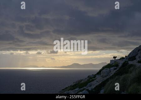 Sentiero escursionistico lungo la costa con una luce spettacolare vicino a Cap de Formentor, Maiorca, Spagna Foto Stock
