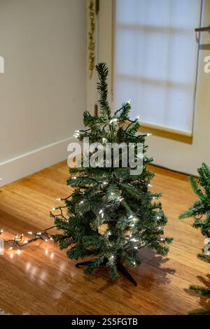Piccolo albero di Natale decorato con luci bianche si erge accanto a una finestra in una stanza con pavimento in legno, Ohio, USA Foto Stock