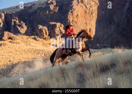Una cowgirl con una camicia rossa e un cappello da cowboy cavalca un cavallo al galoppo su una collina erbosa con aspre scogliere sullo sfondo, Idaho, Stati Uniti Foto Stock