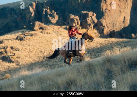 Una donna che indossa una camicia rossa a quadri e un cappello da cowboy cavalca su una collina erbosa, con scogliere aspre e luce solare sullo sfondo, Idaho, Stati Uniti Foto Stock