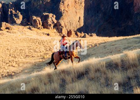 Una donna con una camicia rossa e un cappello da cowboy cavalca un cavallo marrone su una collina erbosa illuminata dal sole con scogliere rocciose sullo sfondo, Idaho, Stati Uniti Foto Stock