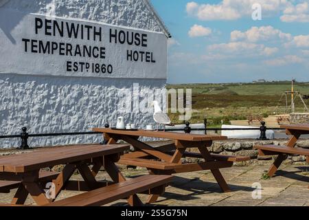 Gabbiano in piedi su un tavolo da picnic in legno di fronte a uno storico hotel di temperanza a Land's End, Cornovaglia. Campagna rurale e cielo blu nel backg Foto Stock