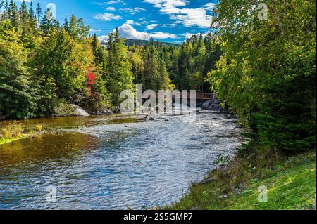 Una vista lungo le rive del torrente Corner Brook verso una passerella pedonale a Corner Brook a Terranova, Canada in autunno Foto Stock