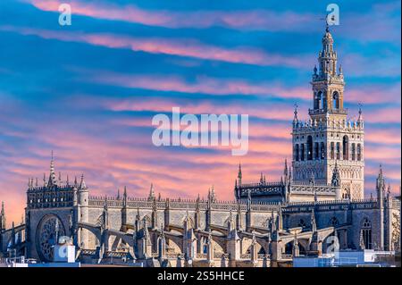 Cattedrale di Siviglia e Torre Giralda, Spagna Foto Stock