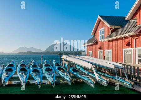 Kayak da mare, 'Remote Passges, escursioni marine", Tofino, British Columbia, Canada Foto Stock