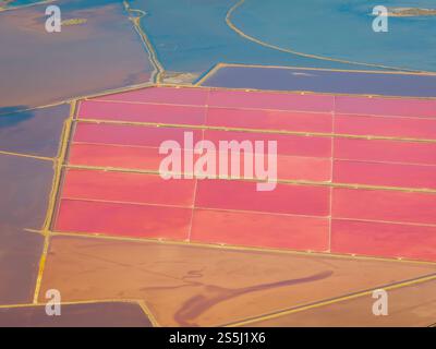 Vista aerea delle lagune rosse delle saline di Trinitat, a Punta de la Banya, nel Delta dell'Ebro, in estate (Montsià, Tarragona, Catalogna, Spagna) Foto Stock