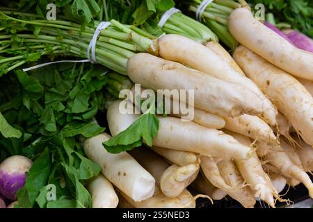 Rafano bianco esposto per la vendita al gregrocery Foto Stock