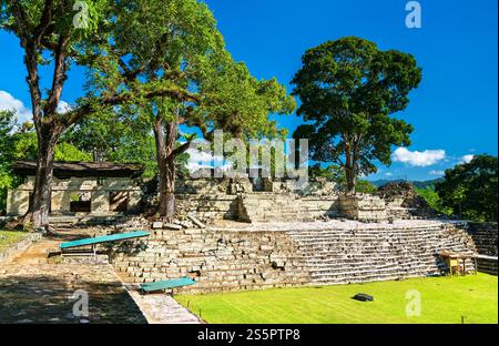 Corte Est del sito archeologico Maya di Copan. Patrimonio mondiale dell'UNESCO in Honduras Foto Stock