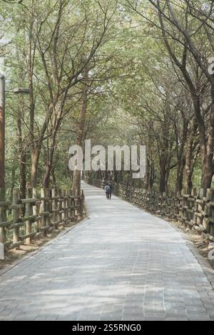 Un sentiero sereno e tranquillo che si snoda attraverso un bellissimo e lussureggiante baldacchino Foto Stock