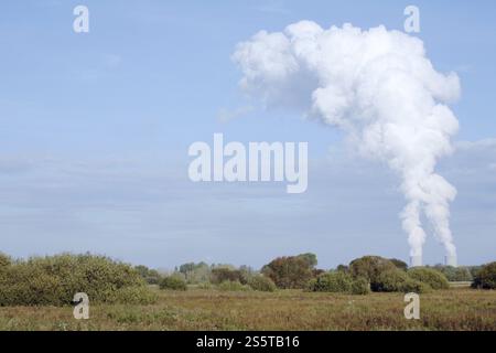 Torri di raffreddamento della centrale nucleare di Grundremmingen Foto Stock