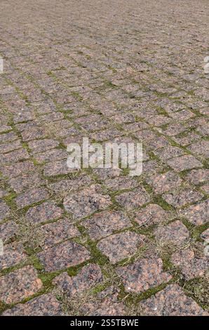 Un'ampia area, disposta in pietra di pavimentazione in prospettiva. Foto dettagliata delle pietre di pavimentazione nel viale del marciapiede in primo piano. Primo piano di una foto di sfondo di Foto Stock