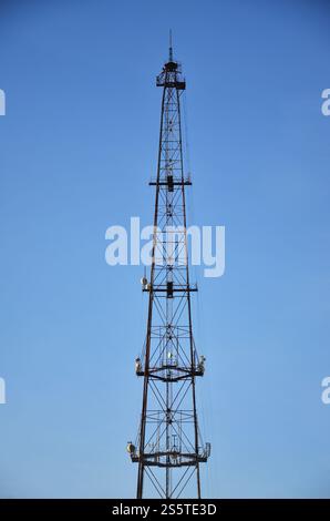 Torre di comunicazione radio contro un cielo blu senza nuvole. Background astratto associato alle tecnologie radio, la comunicazione wireless mobile. Foto Stock